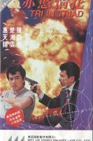 正在播放赤欲情花HD国语高清完整版_动作